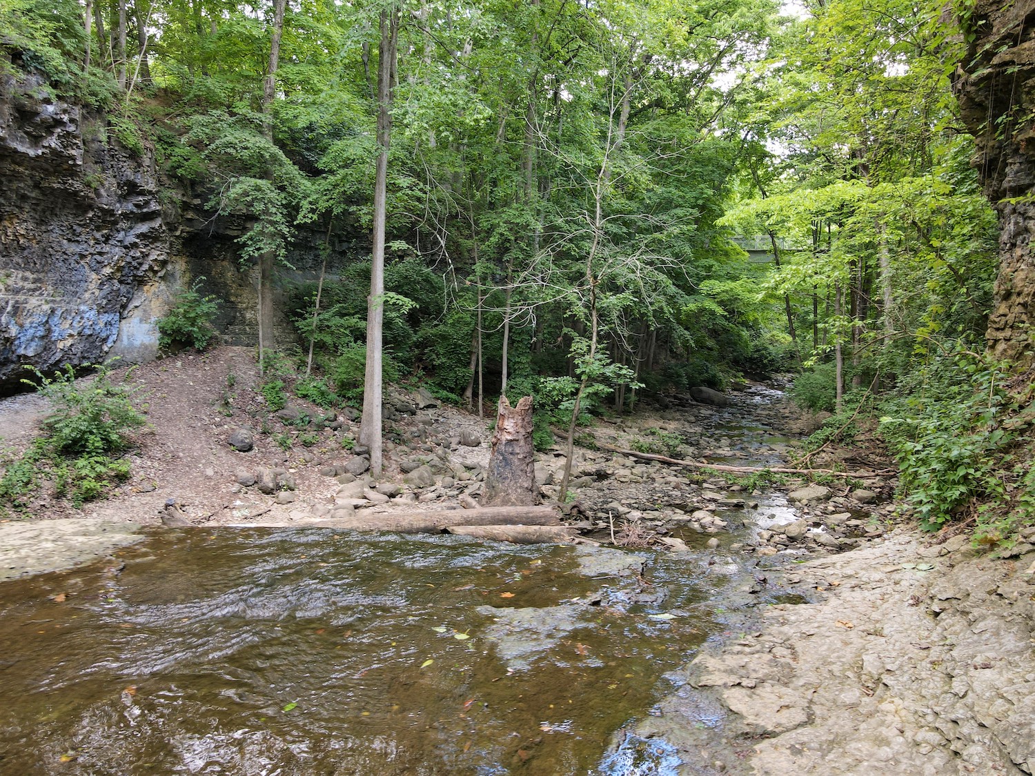 Find your Dream Home at Deer Run in Dublin Ohio